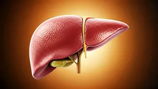 5 Foods to Boost Liver Health: Fueling Your Wellness