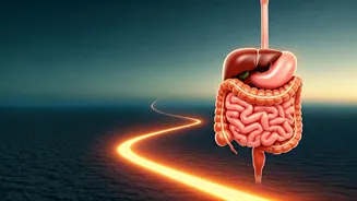 Walk Your Way to Better Health: How 30 Mins Daily at 35 Can Transform Your Body by 40