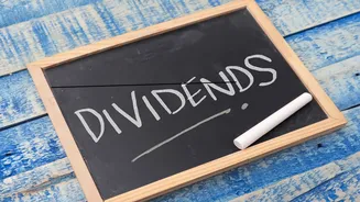 Dividend Stock: MNC stock announces highest payout in nine years; Check record date