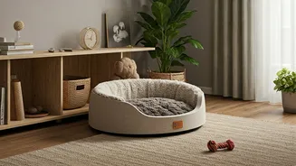 Pet-Integrated Design Makes Homes Feel More Thoughtful