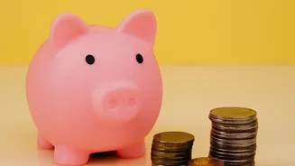 Year-End Tax Savings Choice: High-Return ELSS Versus Secure PPF For Small Cities