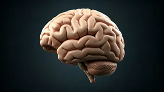 5 Brain-Boosting Exercises to Sharpen Your Mind