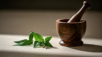 Health-Conscious Indians Swear By This Trend