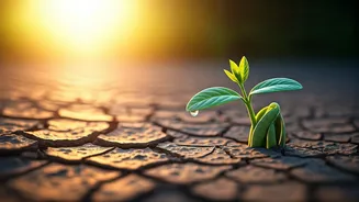 Reclaim Your Spark: 5 Proven Strategies to Combat Burnout and Thrive