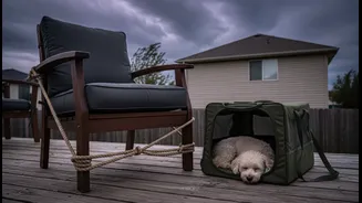 Storm Preparation Can Protect Furniture, Neighbours And The Pet Itself