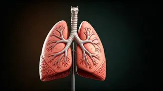 Breathe Easy: 5 Minutes of Daily Deep Breathing