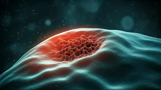 Beyond Fitness: Unraveling Why Cancer Strikes Even the Healthiest & What Experts Advise