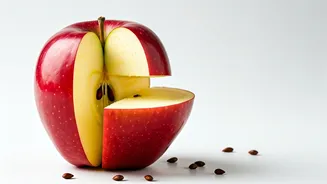 Decoding Food Noise: Understanding & Taming Unwanted Cravings