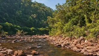 How To Plan Affordable River Camping Trips In Meghalaya And Arunachal Pradesh