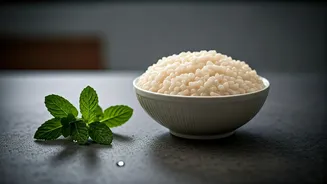 Unlock Summer Wellness: The Ancient Secret of Fermented Rice for Gut Health