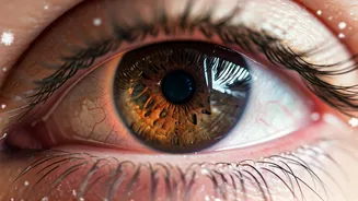 Winter Eyes: Why Dry Eyes Get Worse & How to Manage Them