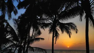 Goa beach shacks shutting from June 1: which 4 are still serving sundowners this weekend