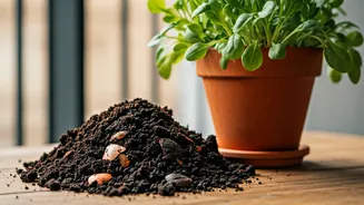 Turn Kitchen Waste Into Power Fertilizer For Vibrant Balcony Plants