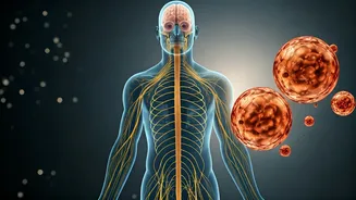 Unsteady Steps: Why A Daily Walker Lost Balance Washing Her Face