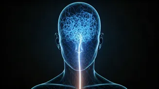 Your Brain's Unseen Sabotage: 5 Psychological Traps Leading to Bad Decisions & How to Escape Them