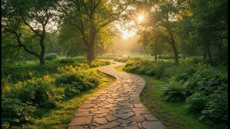 A Short Walk Can Help Replace The Habit Of Sitting Immediately After Food