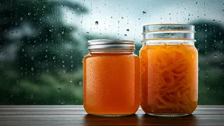 Kombucha Vs Kanji: Unpacking The Best Rain-Ready Probiotics