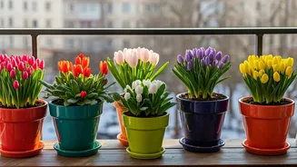 8 Winter Flowers to Brighten Your Balcony Garden