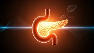 Beyond 'Prediabetes': Understanding Insulin Resistance and How to Reverse It Naturally