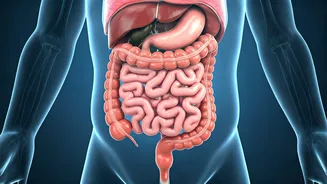 Is Your Child Constipated? Spot The Signs!