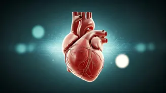 Related Stories banner