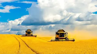 India’s Winter Harvest: How September Rain Can Influence Crop Conditions