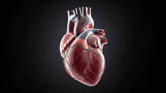 Heart Health: 5 Drinks to Shield Your Arteries
