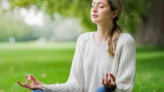 Returning Attention When The Mind Wanders: Breath Awareness For Beginners In Focus