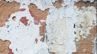How to Address Mould Growth on Walls in Indian Homes