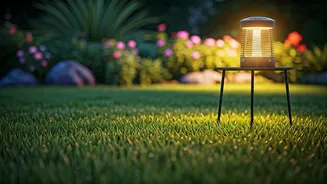 Summer Mosquito Defense: Simple Steps to a Bite-Free Haven