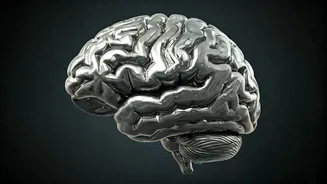 5 Brain-Boosting Exercises for Sharper Cognitive Health