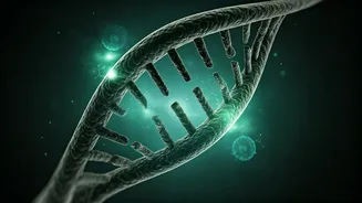 Your Essential Weekly Wellness Guide: Health, Fitness, and Hormones Demystified