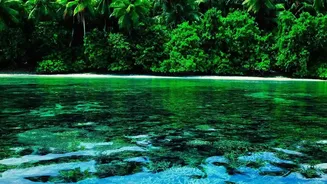 How Sustainable Travel Protocols Protect Marine Biodiversity Across Lakshadweep Pristine Atolls