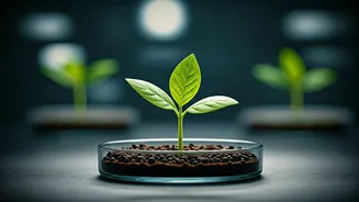 Firstborns' Edge: Unpacking the Germ Theory and Birth Order Science