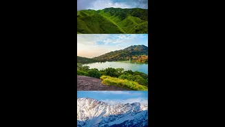 Summer Travel: Must-Visit These Hill Stations In India For Scenic Escape