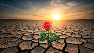 Osho's 5 Uncomfortable Truths About Love That Still Resonate Today