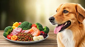 Why Smart Pet Parents Build Custom Fresh Dog Meal Routines