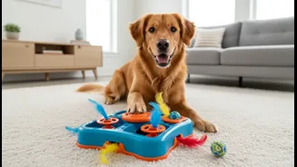 Do Not Make Every Enrichment Activity Depend On Extra Food