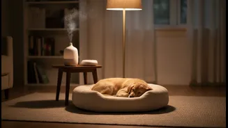 How to use expert-backed methods to handle pet thunderstorm phobia effectively