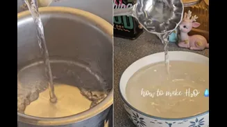 Gone Too Far? Woman Shares Step-By-Step ‘Recipe’ To Make H2O At Home; Internet Says ‘Unemployment On Its Peak’