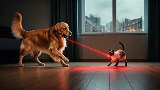 Monsoon Games Every Pet Parent Should Try