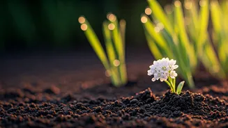 April's Finest: Unique & Strong Names for Your Little Spring Blossom