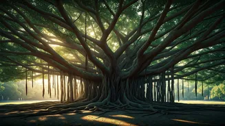 Tree-Gazing Gives Delhi A Fresh Travel Personality