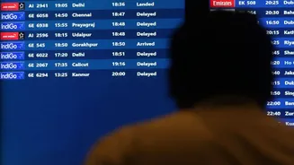 Dense fog disrupts air travel as multiple flights cancelled, many diverted: 'Severely affecting visibility'