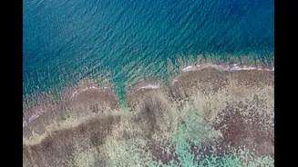 El Niño Intensifies, Threatens Coral Reefs in Indian Ocean
