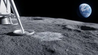 Earth Bacteria Could Reach the Moon and Remain Dormant for Years