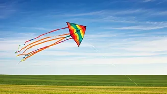 Related Stories banner