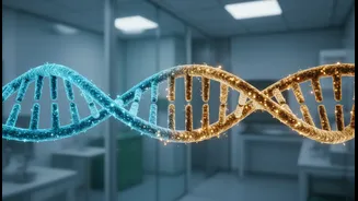 Ageing Science Needs Less Panic, More Precision