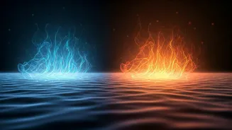 Intermittent Fasting's Longevity Secret: The Crucial Refeeding Phase