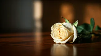 Navigating the Emotional Landscape of Grief and Loss